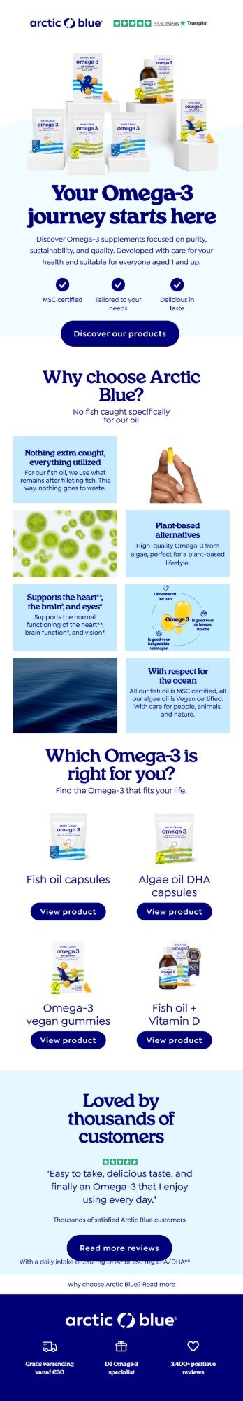 Email we designed for a client