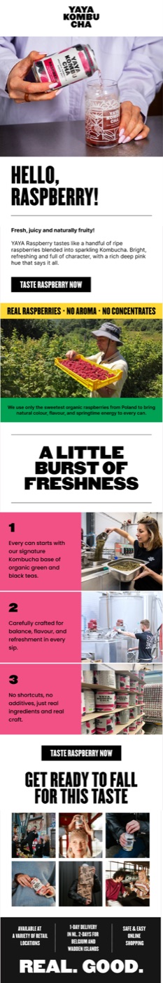 Email we designed for a client